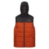 Regatta Nevado Homme Randonnée Bodywarmer