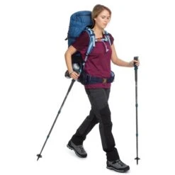 T-shirt Mérinos De Trek Montagne - TREK 500 Violet Femme -Regatta FR t shirt merinos de trek montagne trek 500 violet femme 6