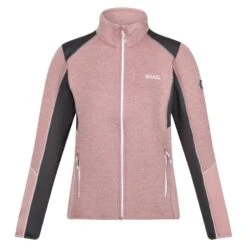 Regatta Veste Polaire LINDALLA Femme (Mauve Clair / Gris Phoque)